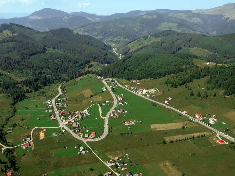 Rezervaţia de pini Puciosu