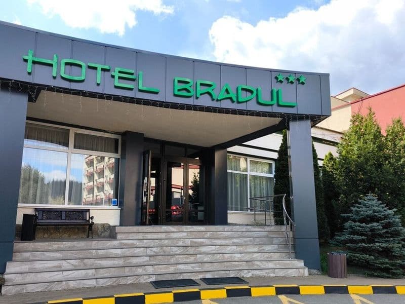 Hotel Bradul — exterior