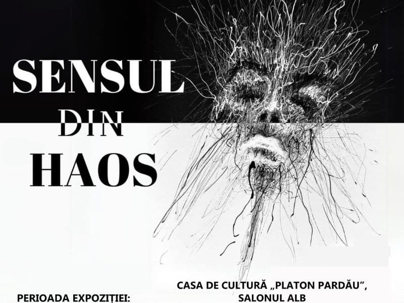 Sensul din Haos