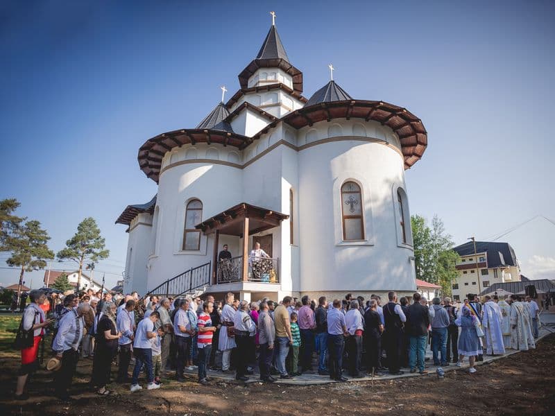 Tinovul Mare Poiana Stampei