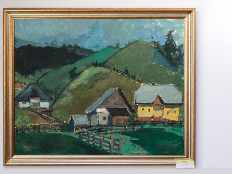 Galeria de artă Liviu Suhard