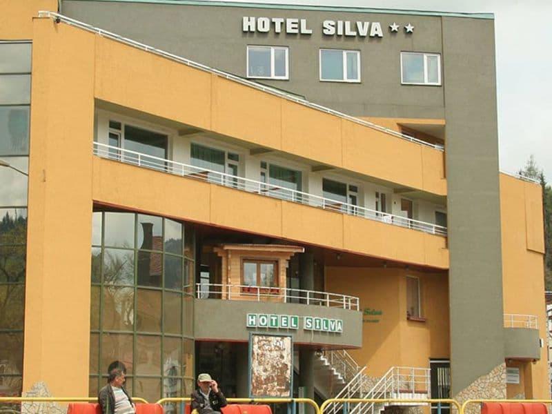 Hotel Silva Vatra Dornei, vedere exterioară